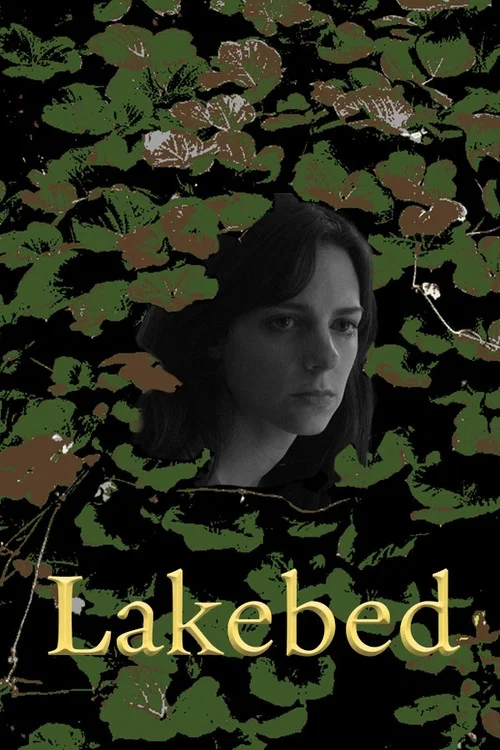 Lakebed постер