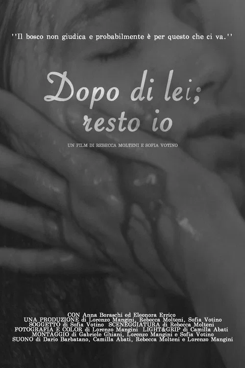 Dopo di lei; resto io постер