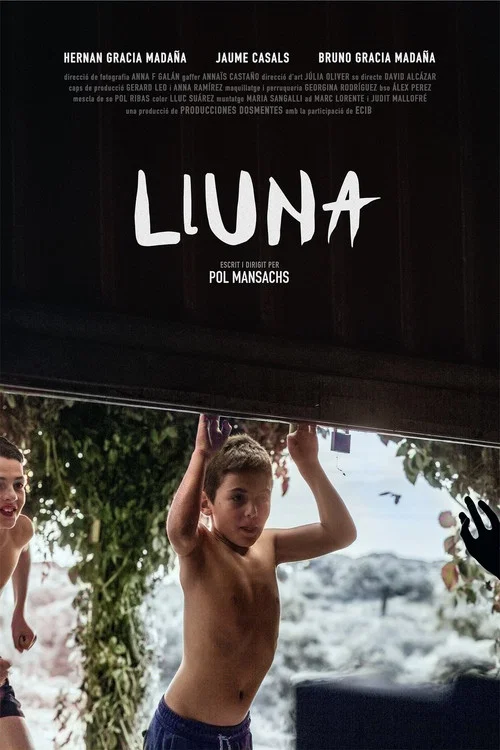 Lluna постер