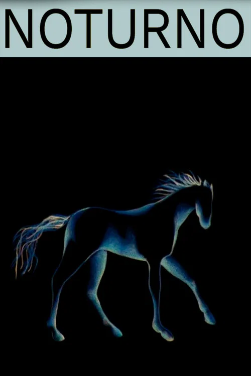 Noturno постер