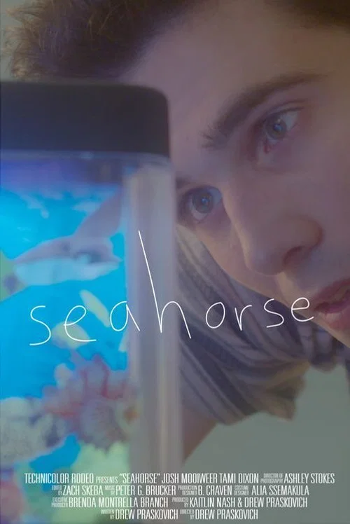 Seahorse постер