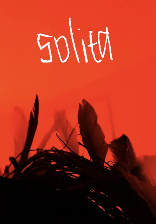 Solita постер