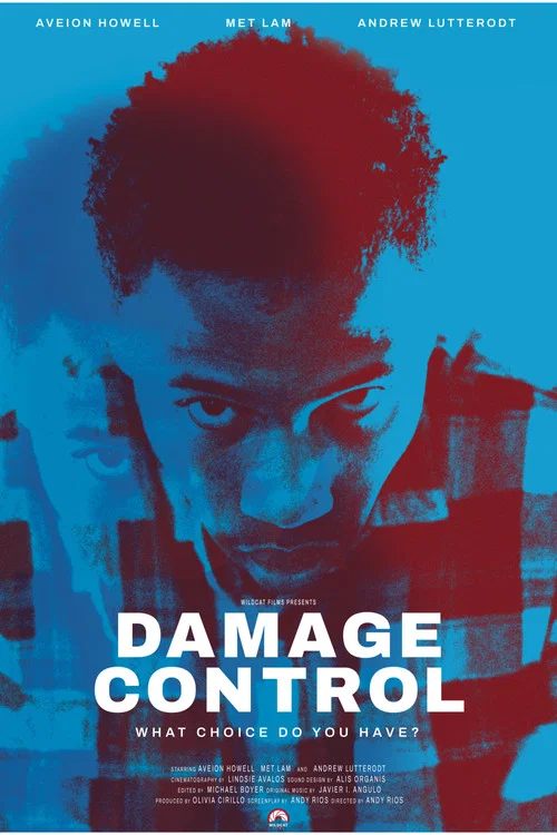 Damage Control постер