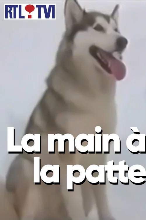 La main à la patte постер