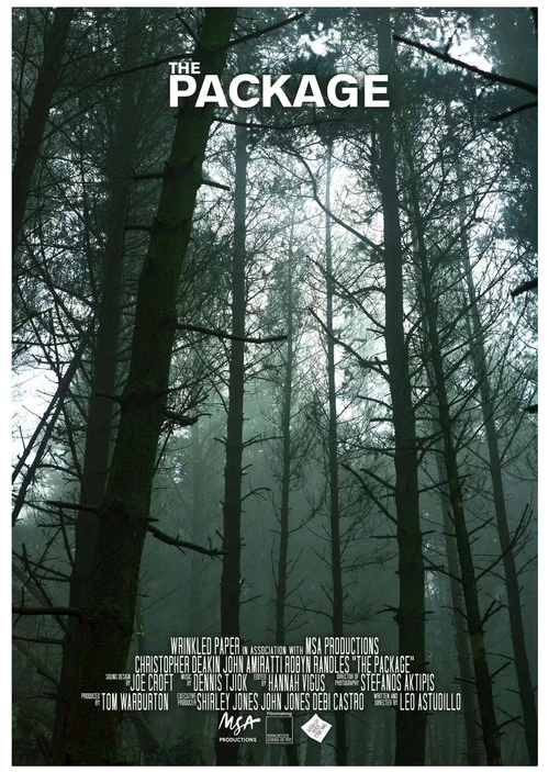 The Package постер