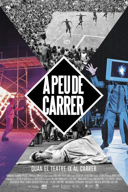 A peu de carrer постер