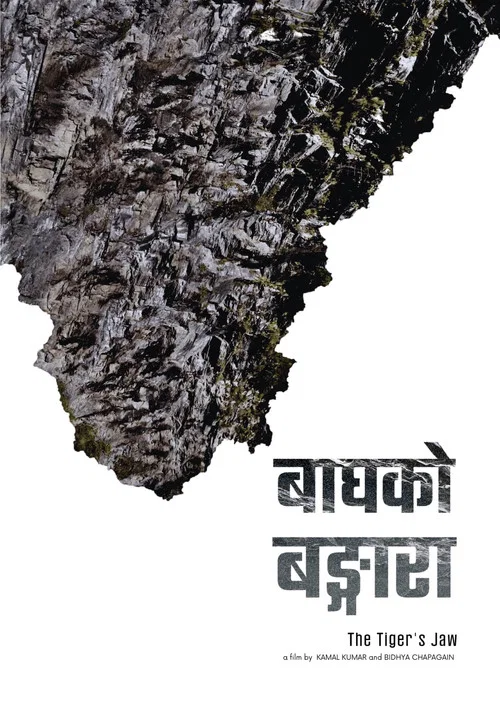 Bagh ko Bangara постер