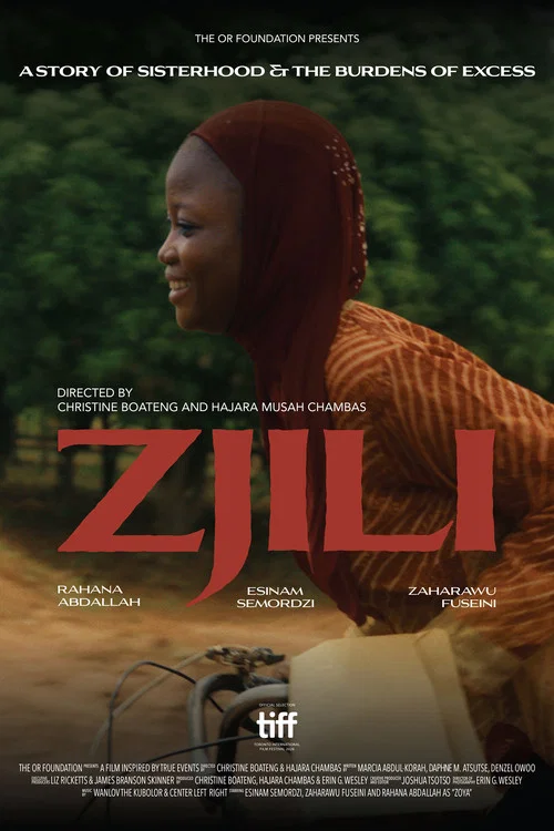 Zjili: A Story of Sisterhood and The Burdens of Excess постер