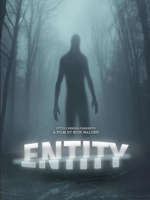 Entity постер