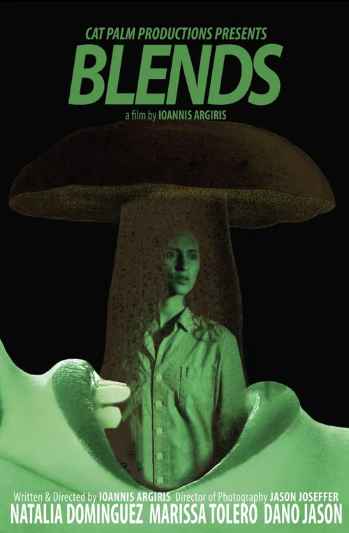 Blends постер