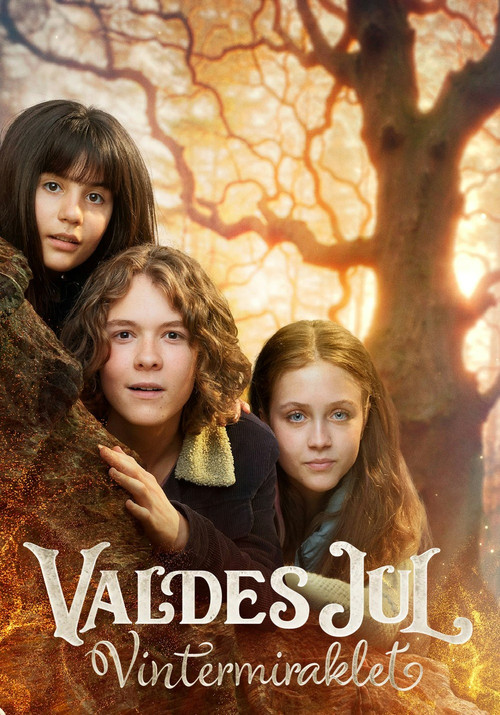 Valdes Jul - Vintermiraklet постер