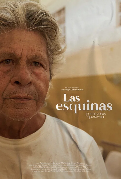 Las esquinas y otras cosas que se van постер