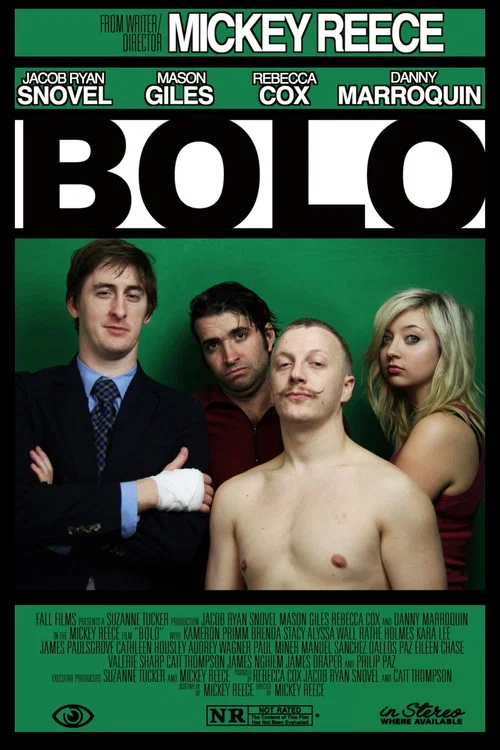 Bolo постер