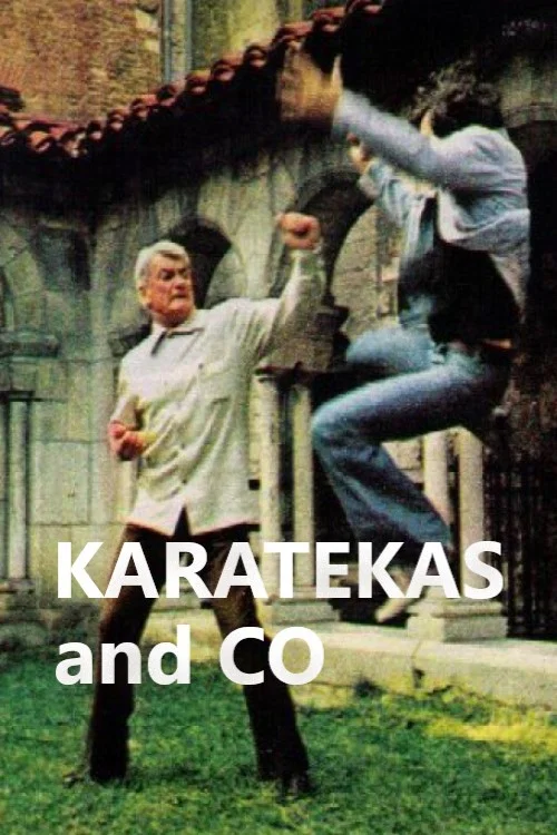 Karatékas and Co постер