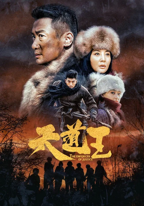天道王 постер