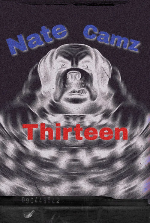 Natecamz 13 постер