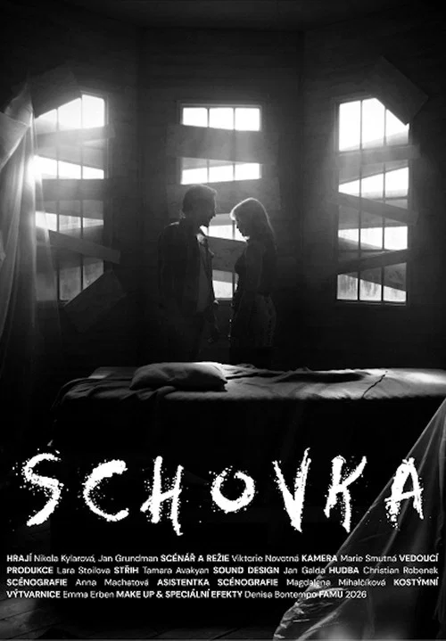 Schovka постер