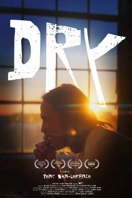 Dry постер