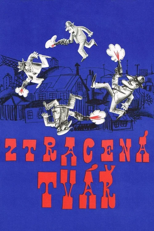Ztracená tvář постер
