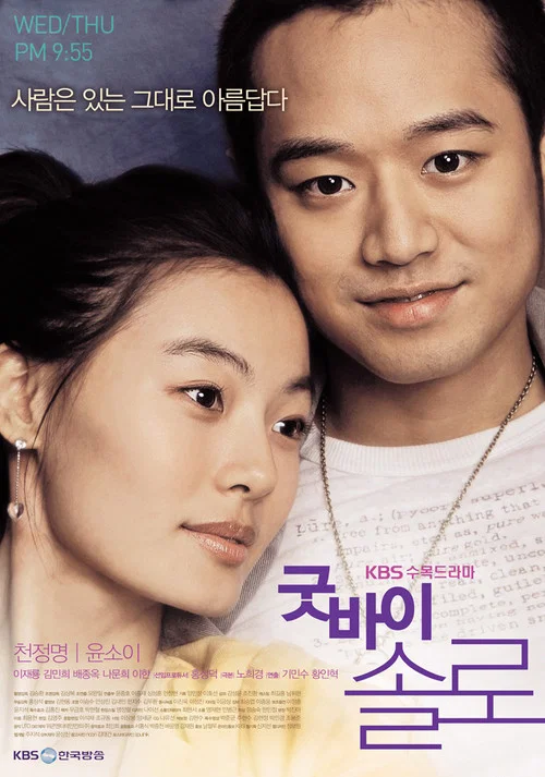 굿바이 솔로 постер