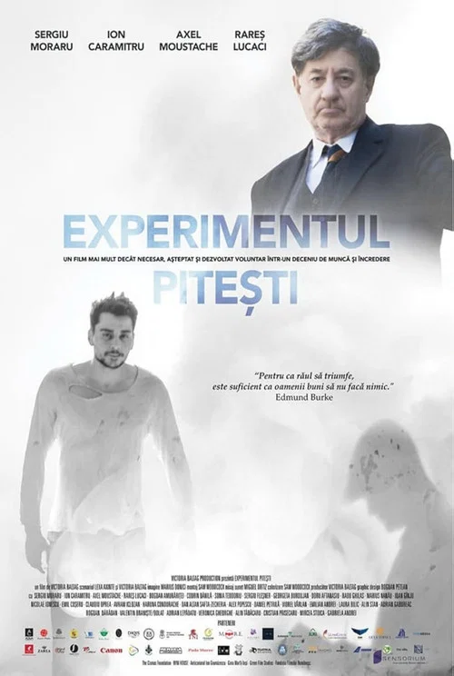 Experimentul Pitești постер