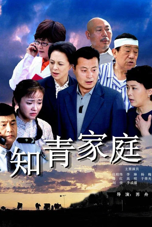 知青家庭 постер
