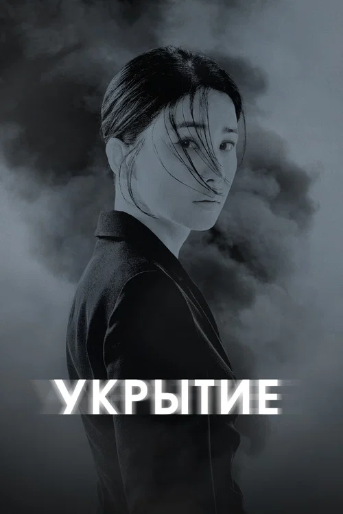 Укрытие постер