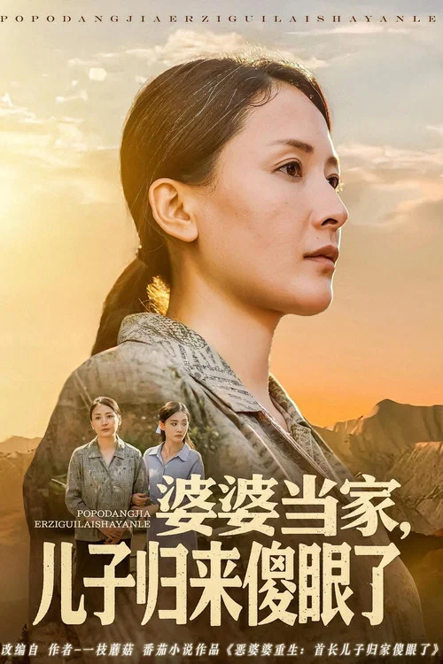 婆婆当家，儿子归来傻眼了 постер