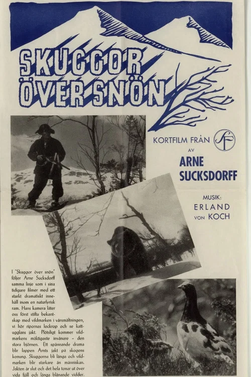 Skuggor över snön постер