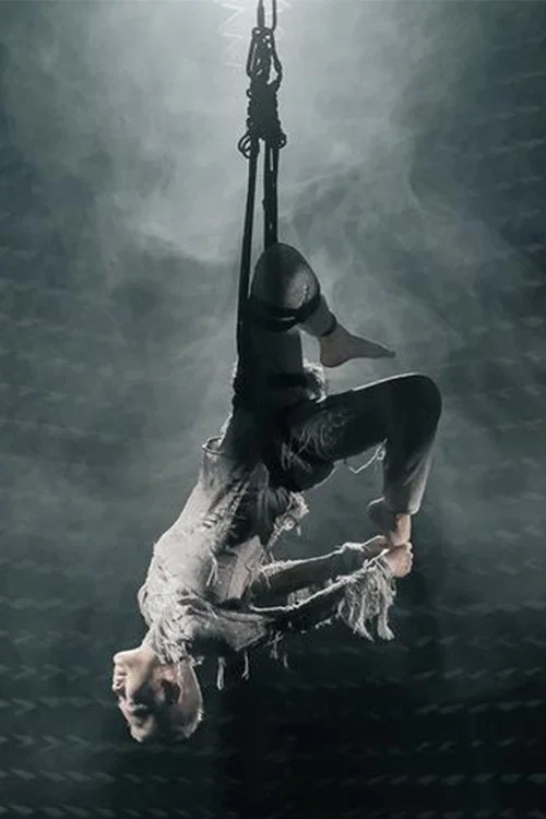 The Magnificent Levitation Act of Lauren O постер