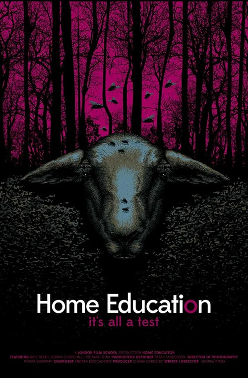 Home Education постер