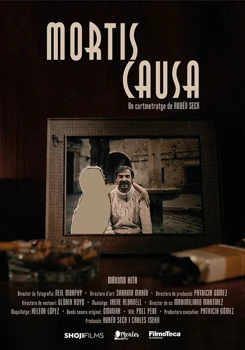 Mortis causa постер