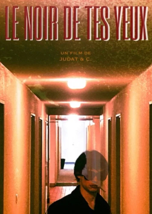 Le noir de tes yeux постер
