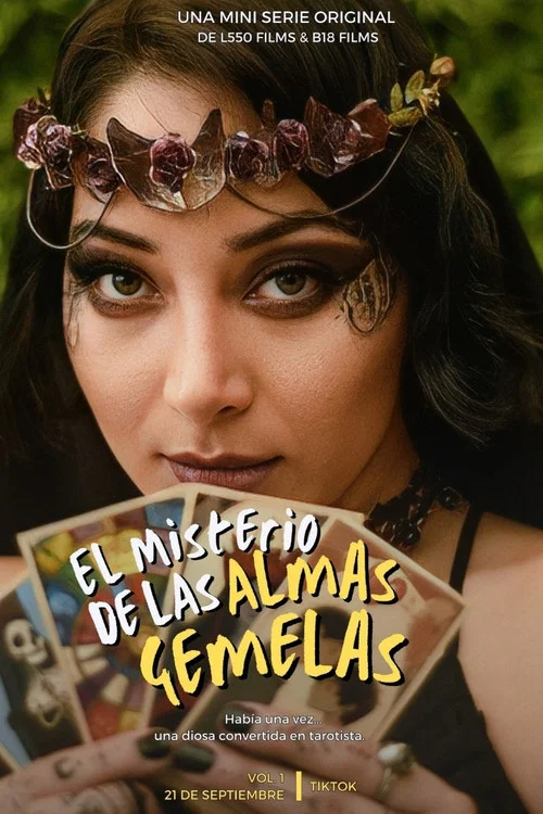 El Misterio de las Almas Gemelas Vol. 1 постер