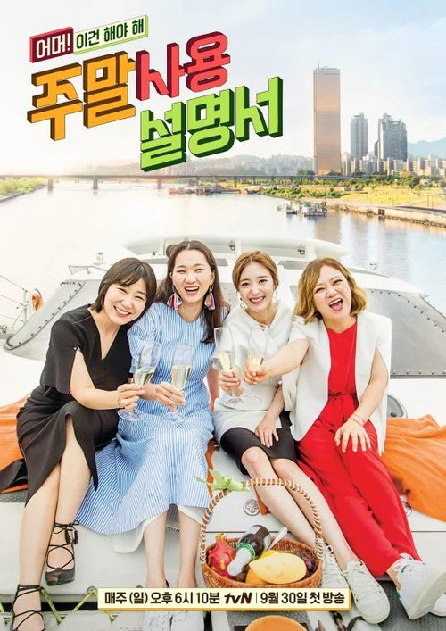 주말사용설명서 постер