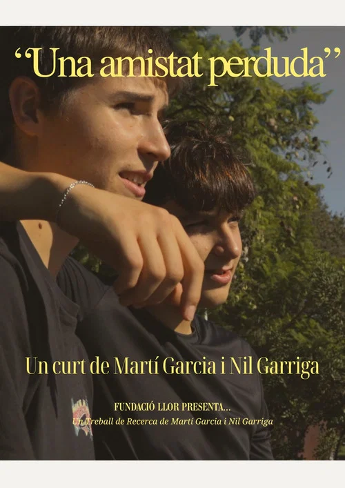 "Una amistat perduda" постер