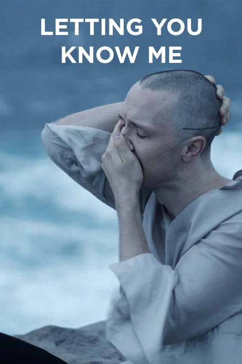 Letting You Know Me постер