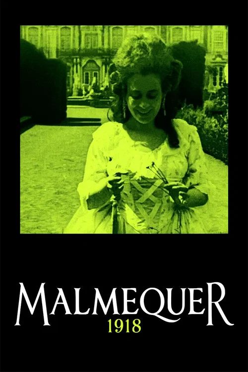 Malmequer постер