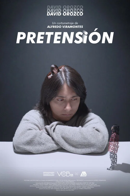 Pretensión постер