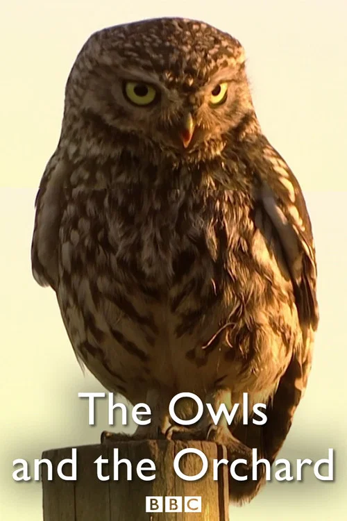 The Owls and the Orchard постер