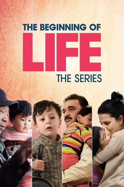O Começo da Vida, Série постер