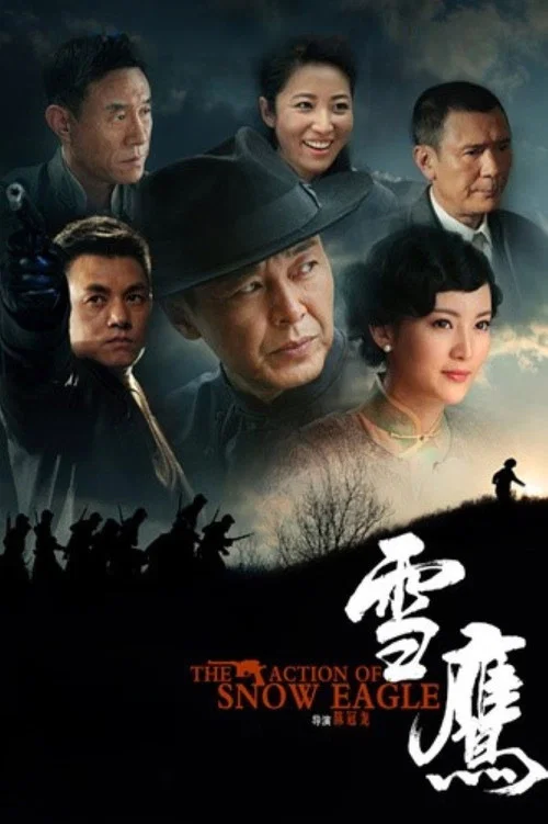 雪鹰 постер