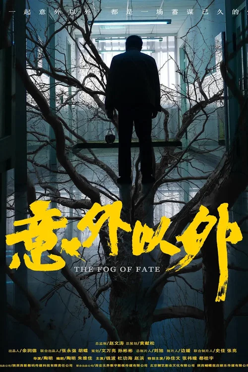 意外以外 постер