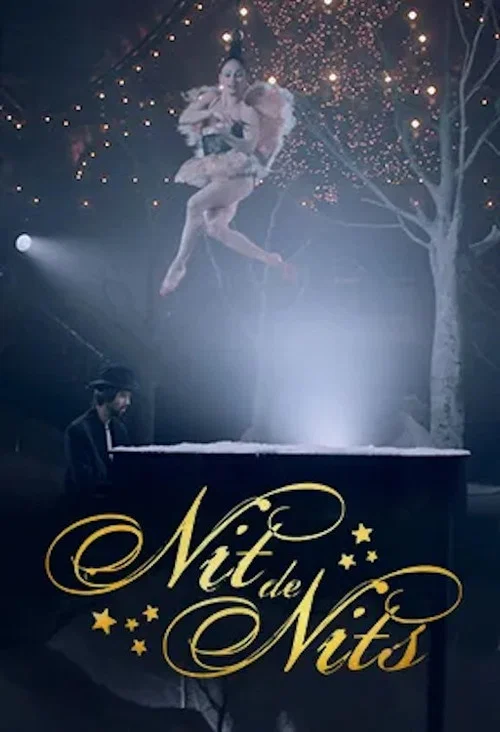 Nit de nits постер