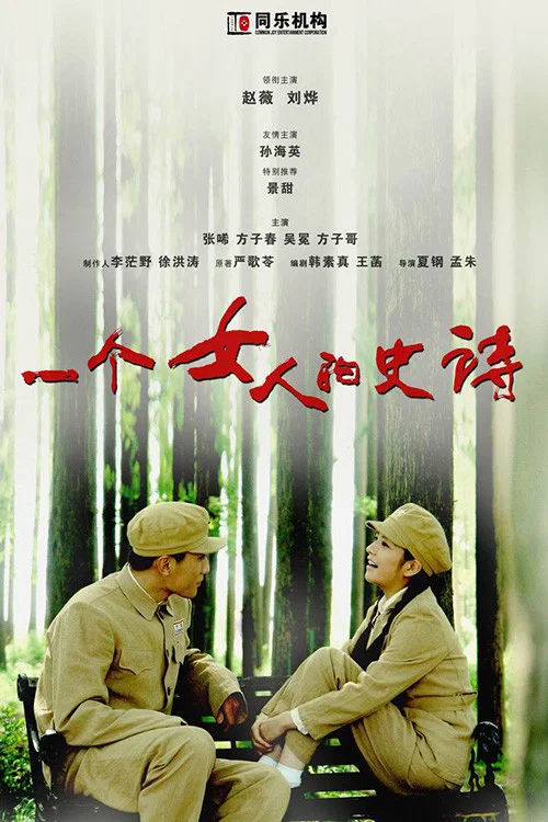一个女人的史诗 постер