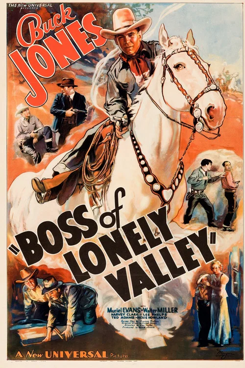 Boss of Lonely Valley постер