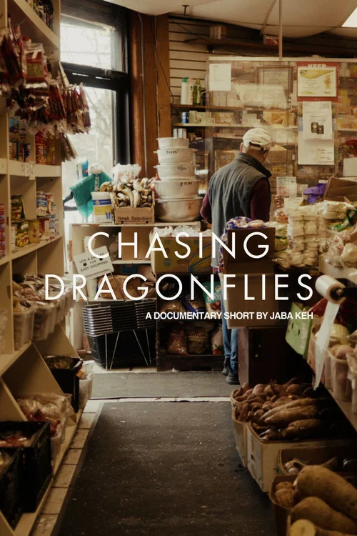 Chasing Dragonflies постер
