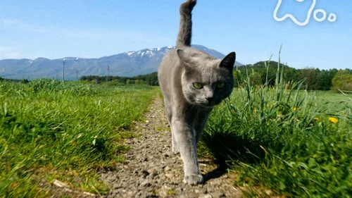 Эпизод 97