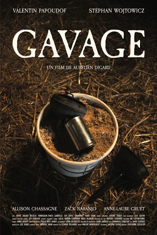 Gavage постер