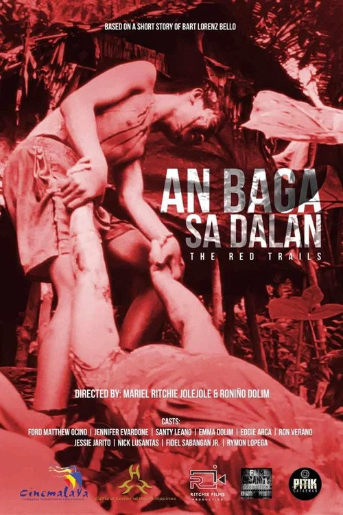 An Baga Sa Dalan постер